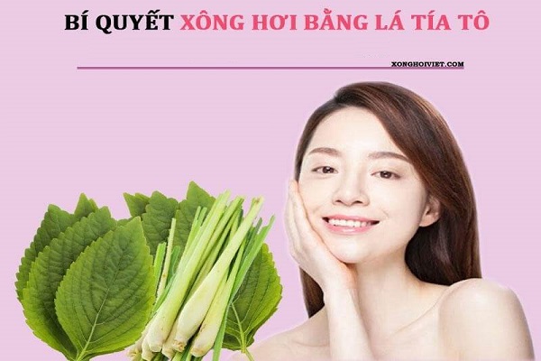 xông hơi bằng lá tía tô