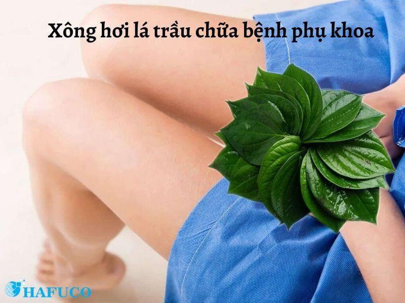 Chữa bệnh phụ khoa bằng cách xông hơi lá trầu