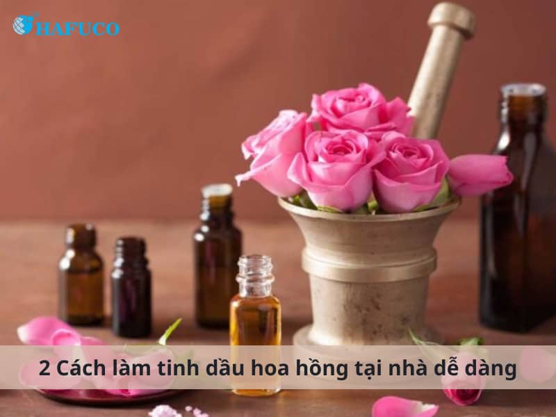 Cách làm tinh dầu hoa hồng