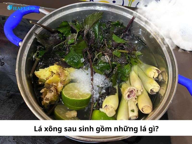 lá xông sau sinh gồm những lá gì?