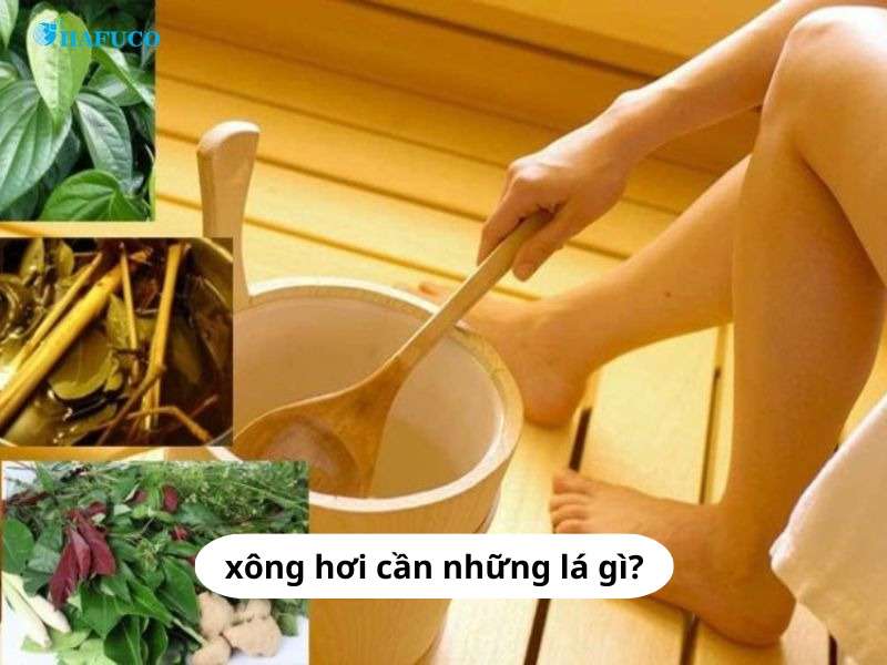 xông hơi cần những lá gì